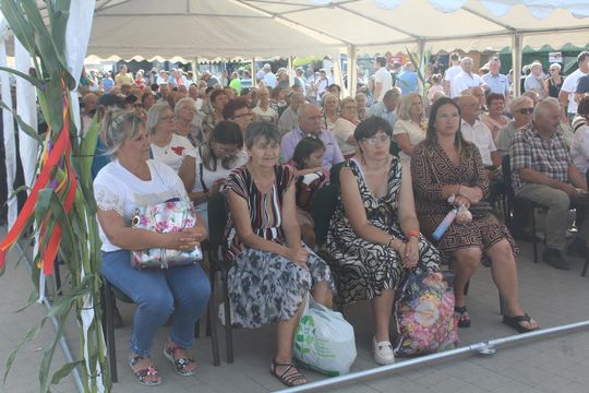 Dożynki gminne w Leśniowicach 2025 [GALERIA ZDJĘĆ]