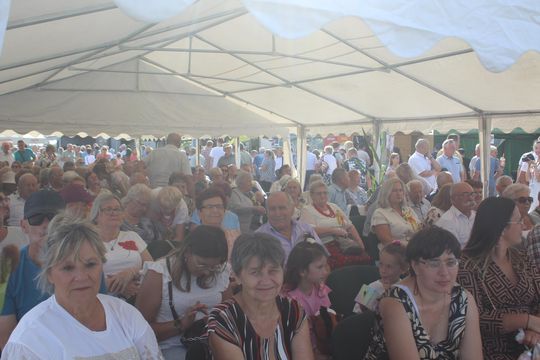 Dożynki gminne w Leśniowicach 2025 [GALERIA ZDJĘĆ]