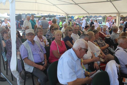 Dożynki gminne w Leśniowicach 2025 [GALERIA ZDJĘĆ]