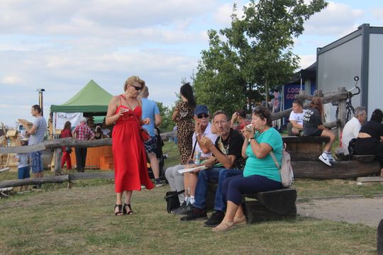 Dożynki gminne w Leśniowicach 2025 [GALERIA ZDJĘĆ]