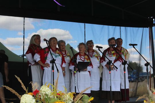 Dożynki gminne w Leśniowicach 2025 [GALERIA ZDJĘĆ]