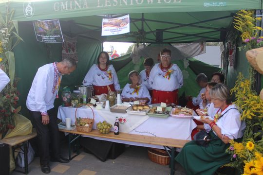 Dożynki gminne w Leśniowicach 2025 [GALERIA ZDJĘĆ]