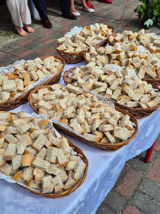 Dożynki gminne w Siedliszczu z Izabelą Trojanowską i Long & Junior [GALERIA ZDJĘĆ]