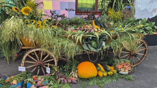 Dożynki gminne w Siedliszczu z Izabelą Trojanowską i Long & Junior [GALERIA ZDJĘĆ]