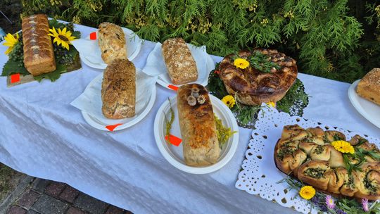 Dożynki gminne w Siedliszczu z Izabelą Trojanowską i Long & Junior [GALERIA ZDJĘĆ]