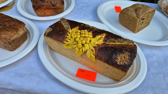 Dożynki gminne w Siedliszczu z Izabelą Trojanowską i Long & Junior [GALERIA ZDJĘĆ]