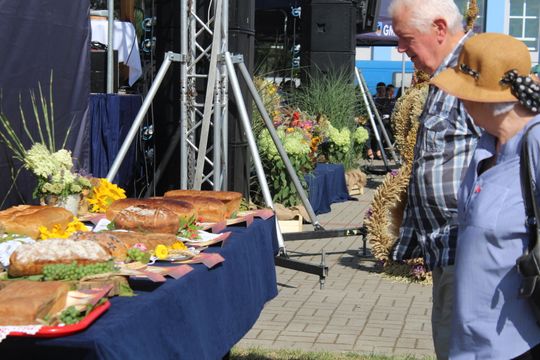 Dożynki gminne w Żmudzi 2025 [GALERIA ZDJĘĆ]