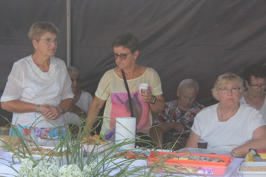 Dożynki gminne w Żmudzi 2025 [GALERIA ZDJĘĆ]