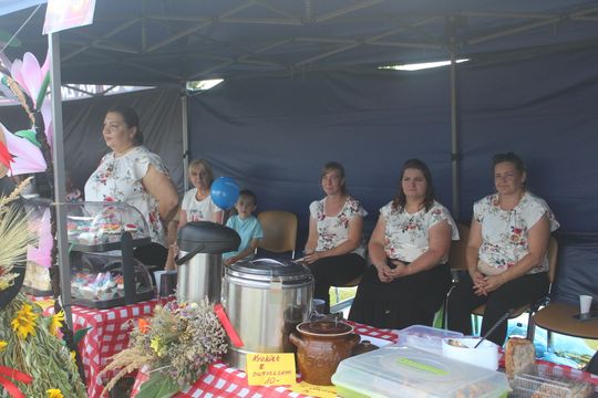 Dożynki gminne w Żmudzi 2025 [GALERIA ZDJĘĆ]