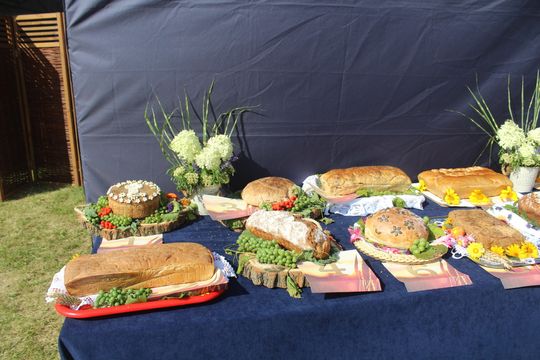 Dożynki gminne w Żmudzi 2025 [GALERIA ZDJĘĆ]