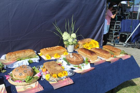 Dożynki gminne w Żmudzi 2025 [GALERIA ZDJĘĆ]