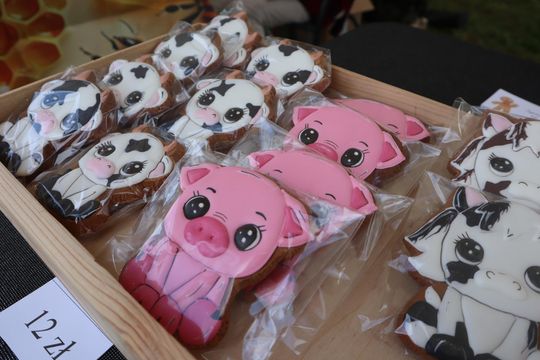 Gm. Ruda-Huta. Amerykański Dzień w Magicznej Wiosce [GALERIA ZDJĘĆ]