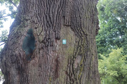 Gm. Ruda-Huta. Bolkowanie jakiego jeszcze nie było! [GALERIA ZDJĘĆ]