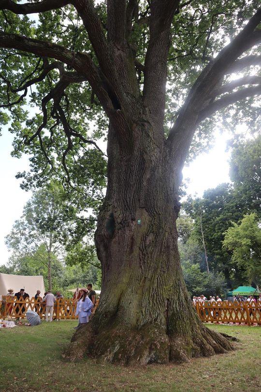 Gm. Ruda-Huta. Bolkowanie jakiego jeszcze nie było! [GALERIA ZDJĘĆ]