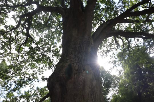 Gm. Ruda-Huta. Bolkowanie jakiego jeszcze nie było! [GALERIA ZDJĘĆ]