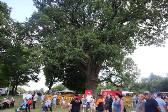 Gm. Ruda-Huta. Bolkowanie jakiego jeszcze nie było! [GALERIA ZDJĘĆ]