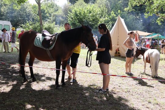 Gm. Ruda-Huta. Bolkowanie jakiego jeszcze nie było! [GALERIA ZDJĘĆ]