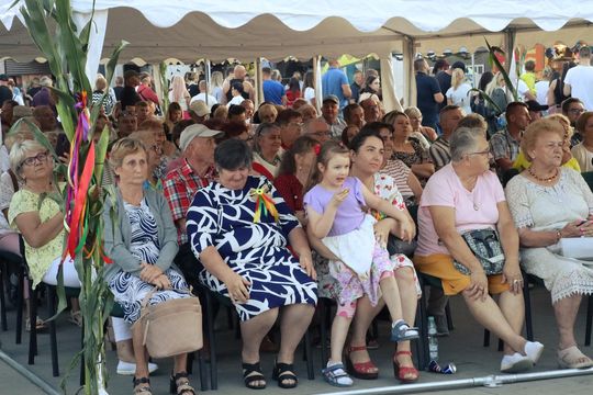 Dożynki gminne w Leśniowicach 2025 cz. II [GALERIA ZDJĘĆ]