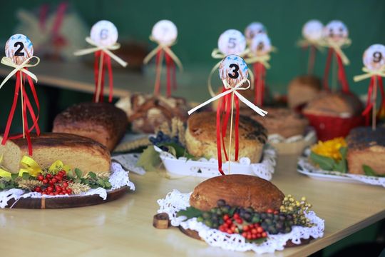 Dożynki gminne w Leśniowicach 2025 cz. II [GALERIA ZDJĘĆ]