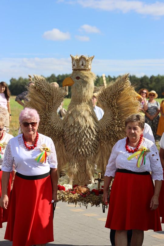 Dożynki gminne w Leśniowicach 2025 cz. II [GALERIA ZDJĘĆ]
