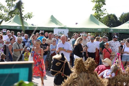 Dożynki gminne w Leśniowicach 2025 cz. II [GALERIA ZDJĘĆ]
