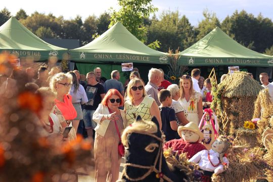 Dożynki gminne w Leśniowicach 2025 cz. II [GALERIA ZDJĘĆ]