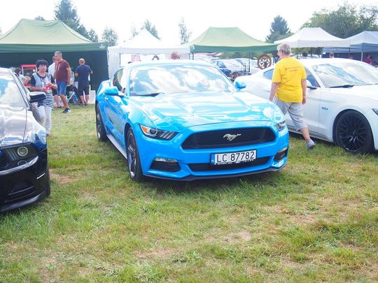 Gm. Ruda-Huta. Amerykański Dzień w Magicznej Wiosce [GALERIA ZDJĘĆ]