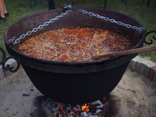 Gm. Ruda-Huta. Amerykański Dzień w Magicznej Wiosce [GALERIA ZDJĘĆ]