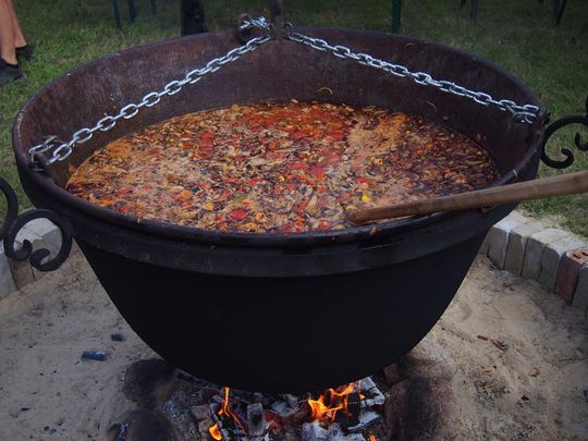 Gm. Ruda-Huta. Amerykański Dzień w Magicznej Wiosce [GALERIA ZDJĘĆ]