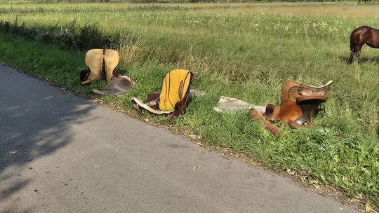 Przepęd koni z Chutoru Kozaka przez cztery gminy [GALERIA ZDJĘĆ]