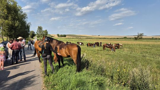 Przepęd koni z Chutoru Kozaka przez cztery gminy [GALERIA ZDJĘĆ]