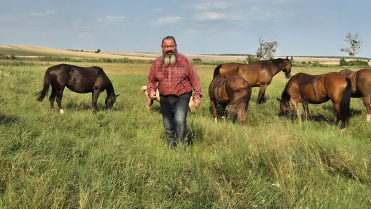 Przepęd koni z Chutoru Kozaka przez cztery gminy [GALERIA ZDJĘĆ]