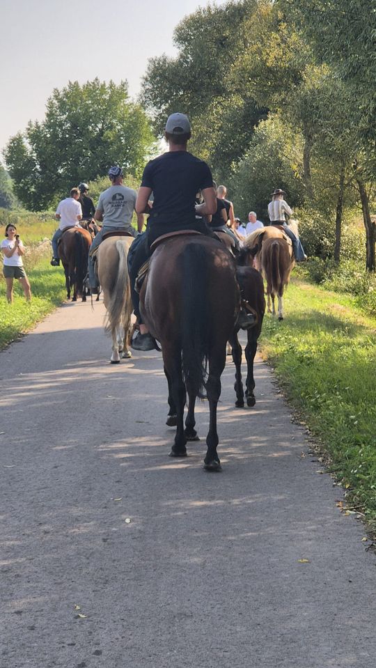Przepęd koni z Chutoru Kozaka przez cztery gminy [GALERIA ZDJĘĆ]