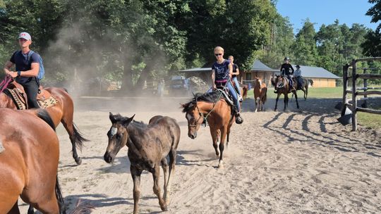 Przepęd koni z Chutoru Kozaka przez cztery gminy [GALERIA ZDJĘĆ]
