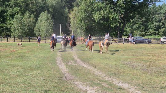 Przepęd koni z Chutoru Kozaka przez cztery gminy [GALERIA ZDJĘĆ]