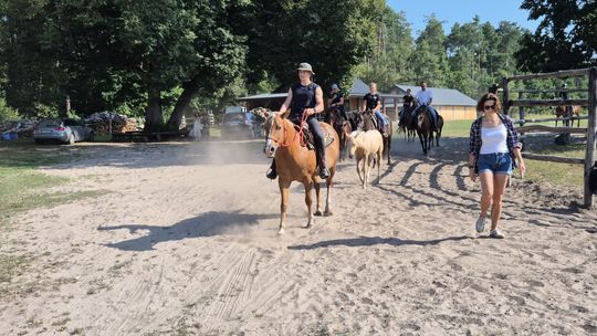 Przepęd koni z Chutoru Kozaka przez cztery gminy [GALERIA ZDJĘĆ]