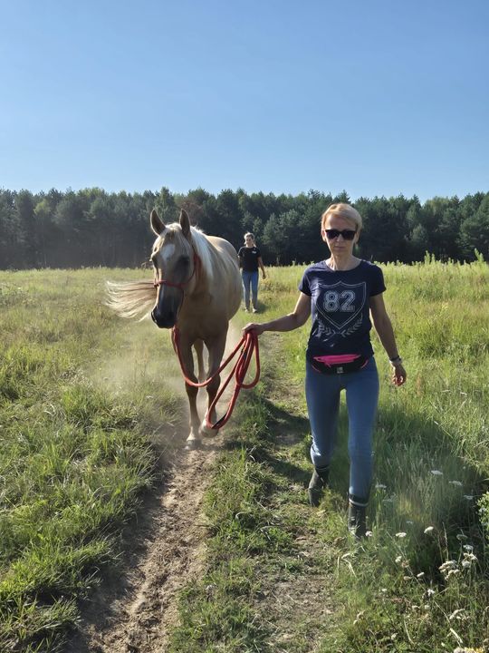 Przepęd koni z Chutoru Kozaka przez cztery gminy [GALERIA ZDJĘĆ]