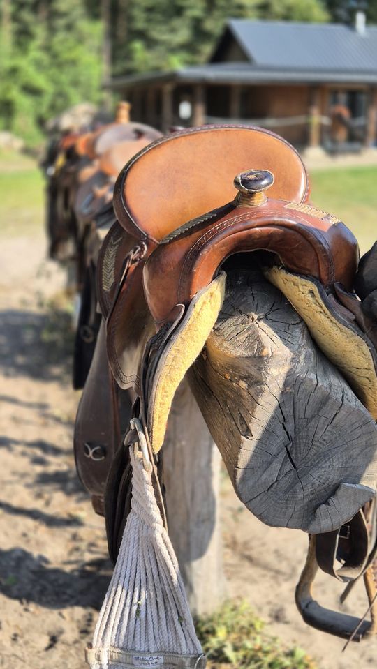 Przepęd koni z Chutoru Kozaka przez cztery gminy [GALERIA ZDJĘĆ]