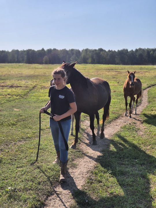 Przepęd koni z Chutoru Kozaka przez cztery gminy [GALERIA ZDJĘĆ]
