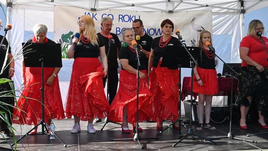 Gm. Dubienka. Święto Bociana w Skryhiczynie 2025 [GALERIA ZDJĘĆ]