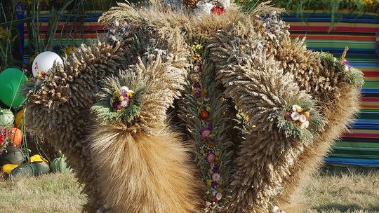 Gmina Krasnystaw. Udane Dożynki Trzech Wsi - Święto Plonów [GALERIA ZDJĘĆ]