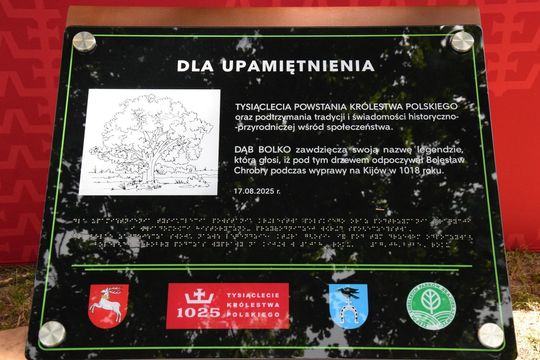 Bolkowanie w Hniszowie. Rozstrzygnięcie konkursu „Nadbużańska Akademia Smaku” [GALERIA ZDJĘĆ]