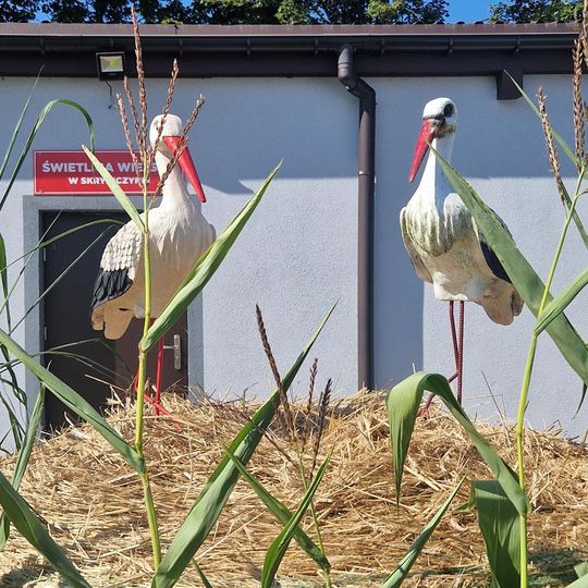 Gm. Dubienka. Święto Bociana w Skryhiczynie 2025 [GALERIA ZDJĘĆ]