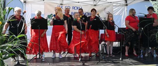 Gm. Dubienka. Święto Bociana w Skryhiczynie 2025 [GALERIA ZDJĘĆ]