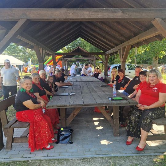 Gm. Dubienka. Święto Bociana w Skryhiczynie 2025 [GALERIA ZDJĘĆ]