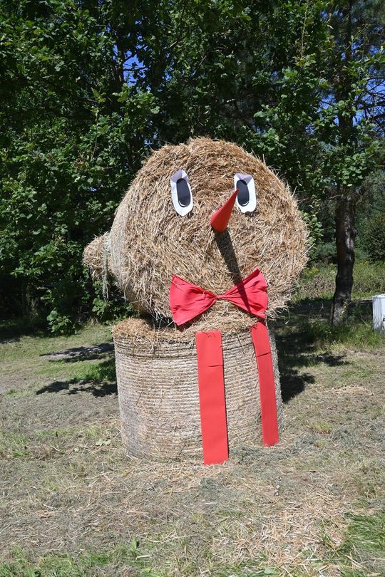 Gm. Dubienka. Święto Bociana w Skryhiczynie 2025 [GALERIA ZDJĘĆ]