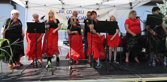 Gm. Dubienka. Święto Bociana w Skryhiczynie 2025 [GALERIA ZDJĘĆ]