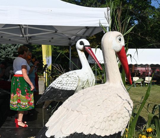 Gm. Dubienka. Święto Bociana w Skryhiczynie 2025 [GALERIA ZDJĘĆ]