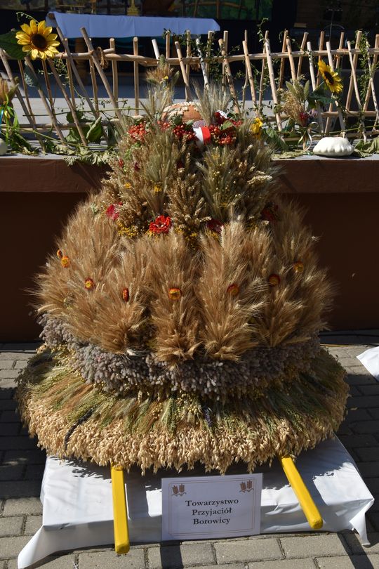 Gm. Łopiennik Górny. Tak świętowano dożynki 2025! [GALERIA ZDJĘĆ] 