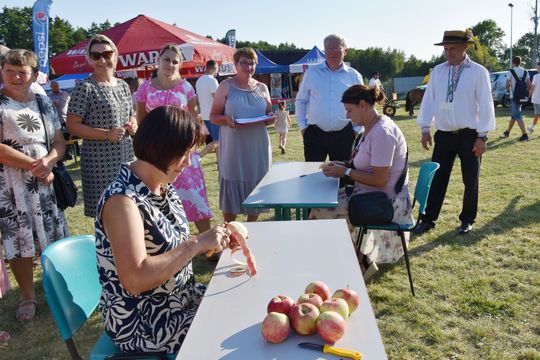 Gm. Łopiennik Górny. Tak świętowano dożynki 2025! [GALERIA ZDJĘĆ] 